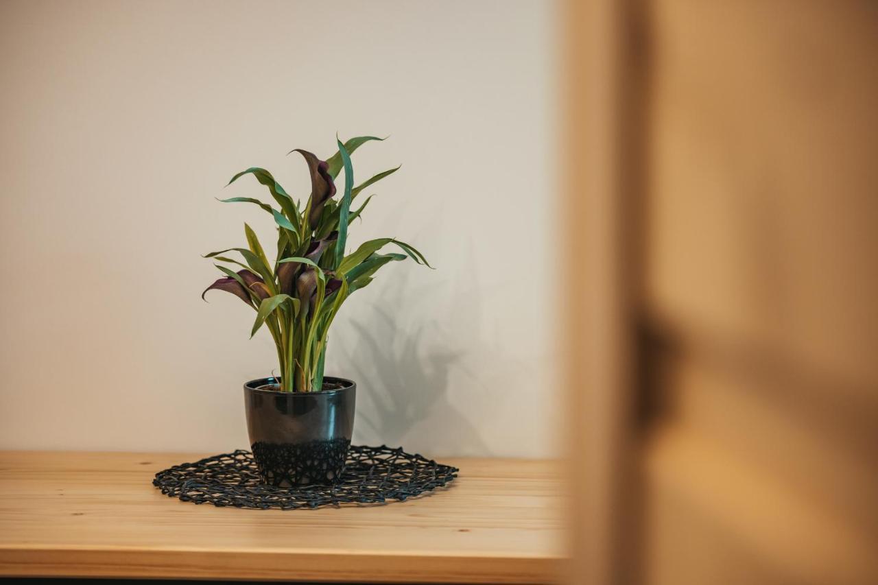 Wierchowe Apartamenty Lesnica  Luaran gambar